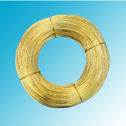 世界怎么了？黃銅圓線得多讀書多看報(bào)了